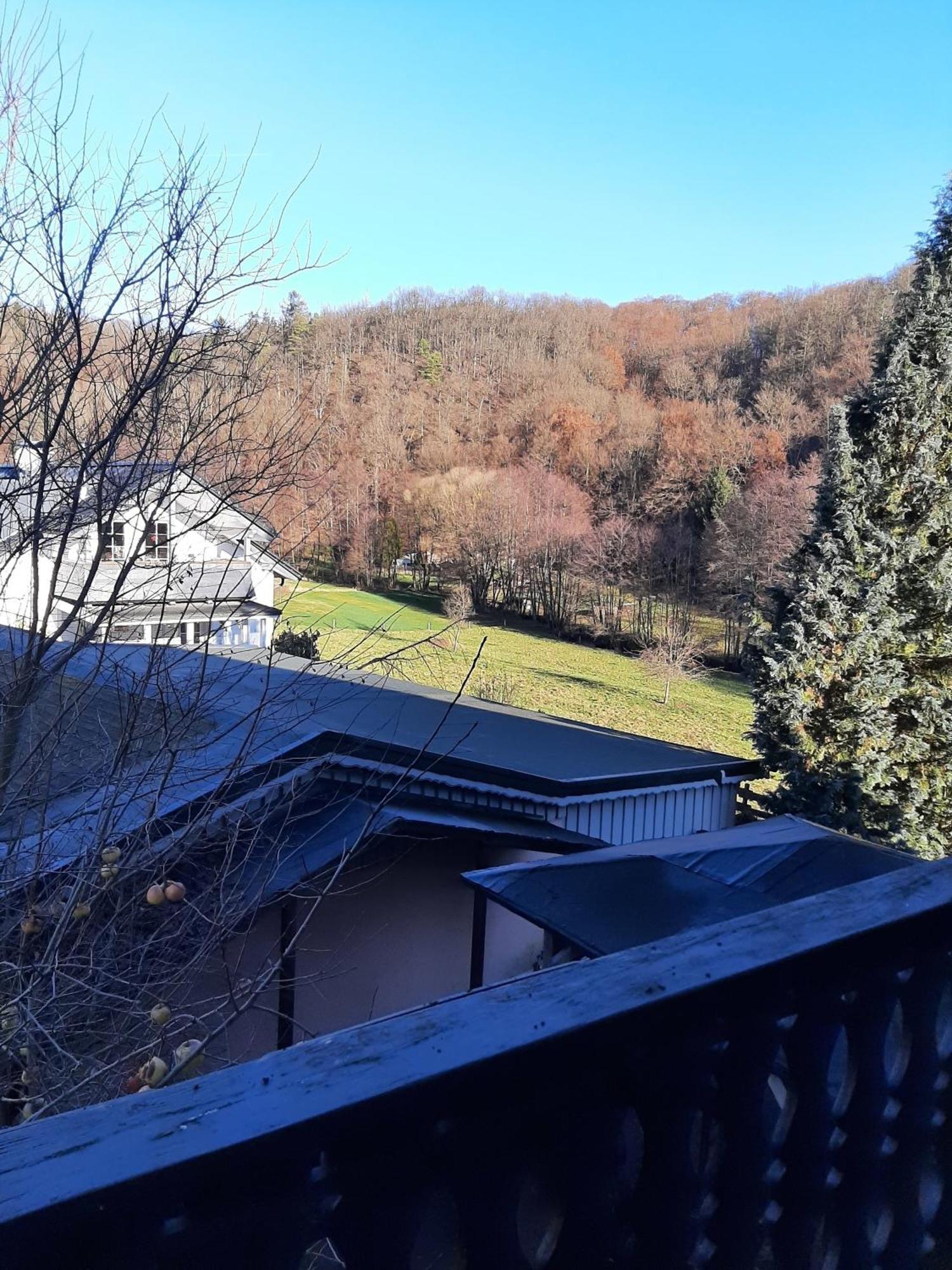 Ferienwohnung Bergblick Hallenberg Extérieur photo